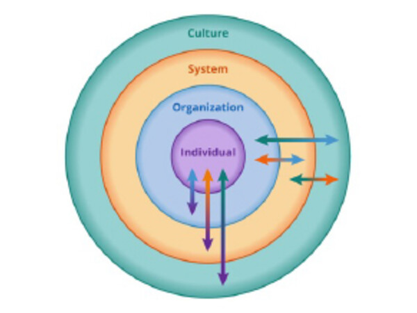 diagram illustrating the conceptual model of wellness at Temerty Medicine